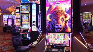 959bet login
